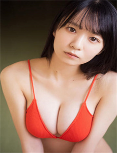金牌调解